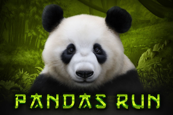 Panda's Run
